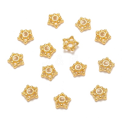 Tibetan Style Alloy Bead Caps LS-K08A7011-1