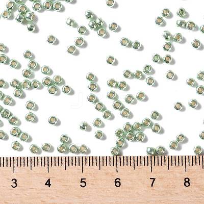 TOHO 8/0 Round Beads X-SEED-TR08-PF0560-1