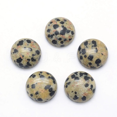 Natural Dalmatian Jasper Cabochons G-P393-R33-12mm-1