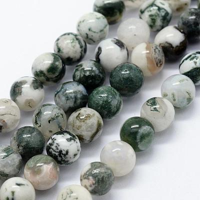 Natural Tree Agate Beads Strands G-I199-03-6mm-1