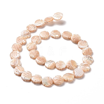 Natural Trochid Shell Beads Strands SSHEL-G023-16A-1
