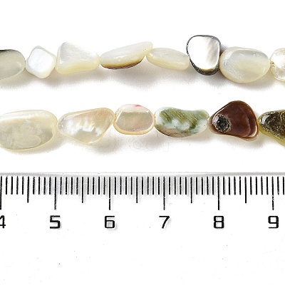 Natural Black Lip Shell Beads Strands SHEL-G020-04-1