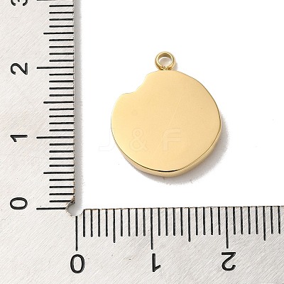 304 Stainless Steel Pendants STAS-B074-08G-06-1