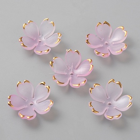 Acrylic Bead Caps OACR-CJC0002-04H-1