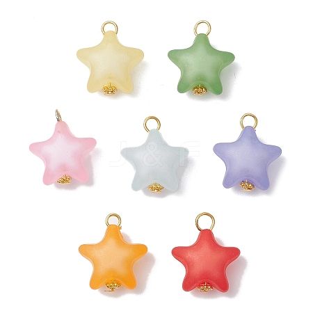Opaque Acrylic Pendants PALLOY-JF03993-S-1