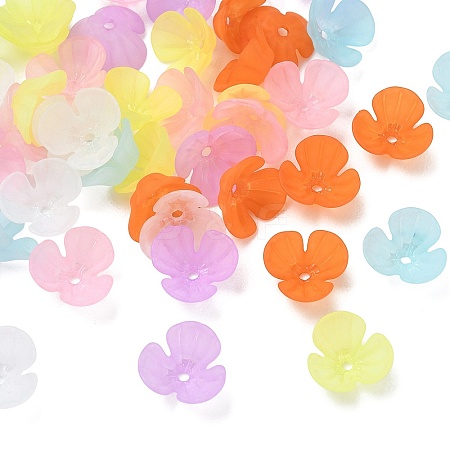 Acrylic Frosted Bead Caps AC-CBA81FF-09-1