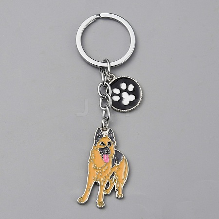Alloy Keychain KEYC-SZC0006-01R-1