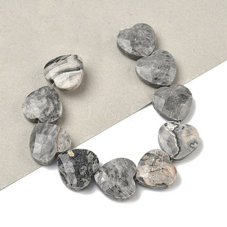 Natural Map Stone Beads Strands G-A309-A17-01-1