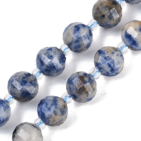 Natural Blue Spot Jasper Beads Strands G-G182-B31-03-1