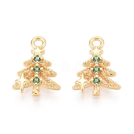 Brass Micro Pave Cubic Zirconia Charms KK-N263-145B-G-1