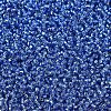 MIYUKI Round Rocailles Beads X-SEED-G007-RR0019-3