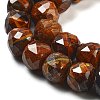 Natural Tiger Eye Beads Strands G-H028-A01-06-4