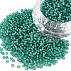12/0 Grade A Round Glass Seed Beads SEED-N001-D-20/218-1