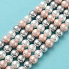 Shell Pearl Bead Strands X-BSHE-L017-20-2