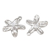 304 Stainless Steel Pendants SA-CBA1839-17P-2