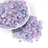 Transparent Spray Painted Glass Seed Beads SEED-L011-10A-19-1