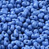 Baking Paint Glass Seed Beads SEED-K009-01A-19-3