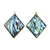 304 Stainless Steel Pave Natural Paua Shell Pendants STAS-Z125-01D-G-1