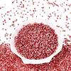 Baking Paint Glass Seed Beads SEED-Q041-03A-09-2