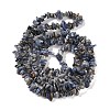 Natural Sodalite Beads Strands G-P530-A01-01-4