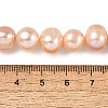 Natural Cultured Freshwater Pearl Beads Strands PEAR-I007-07U-01A-5