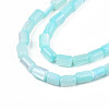 Natural Trochid Shell/Trochus Shell Beads Strands SHEL-N003-26-B09-3