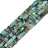 Natural African Turquoise(Jasper) Beads Strands G-B129-A20-01-1