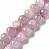 Natural Kunzite Beads Strands G-I346-02-2