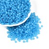 6/0 Transparent Inside Colours Glass Seed Beads SEED-N008-08F-1