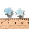 Handmade Porcelain Beads PORC-H013-05-18-3