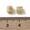 Opaque Colours Glass Seed Beads GL-CBAC3F6-02E-3