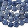 Natural Blue Aventurine Beads Strands G-L648-B24-15mm-02-5