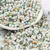 Baking Paint Glass Seed Beads SEED-F005-01A-06-1