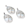 Opalite Pendants G-G900-01P-05-1