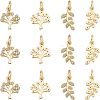 SUPERFINDINGS 12Pcs 2 Style  Brass Micro Pave Clear Cubic Zirconia Pendant KK-FH0004-15-1