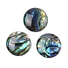 Natural Paua Shell Cabochons SSHEL-I026-20C-1