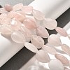 Natural Rose Quartz Beads Strands G-P561-B01-01-2