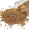 TOHO 11/0 Round Beads SEED-XTR11-0722-1