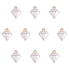 Alloy Enamel Charms ENAM-SZ0003-02A-1