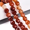 Natural Red Agate Beads Strands G-Q608-08A-04-1
