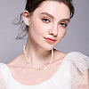 4 Strands 4 Colors Natural Shell Beads Strands SSHEL-PA0001-04-6