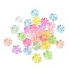 Transparent Acrylic Beads TACR-C002-01F-1