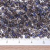 MIYUKI Round Rocailles Beads SEED-G007-RR4556-3
