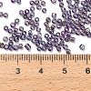 Transparent Colours Rainbow Glass Seed Beads SEED-H004-01E-3