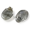 Natural Labradorite Pendants G-K359-03E-2