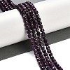 Natural Ruby Beads Strands G-P553-E05-03-4