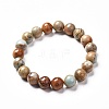 Natural Aqua Terra Jaspe Round Beads Stretch Bracelet for Men Women BJEW-JB06823-03-1
