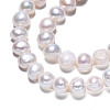 Natural Cultured Freshwater Pearl Beads Strands PEAR-N014-07G-3