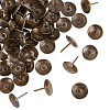 Iron Nails IFIN-GA0001-11-1