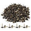 400Pcs Iron Nails IFIN-FH0001-98AB-1